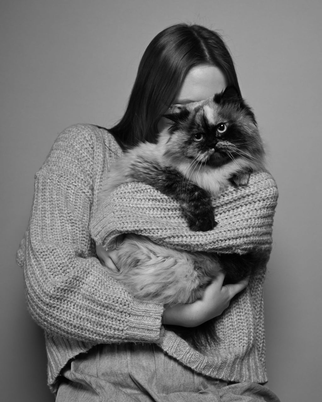 Pet Photography